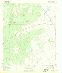 preview thumbnail of historical topo map of Runnels County, TX in 1967