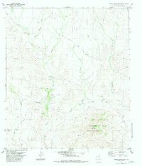 Download a high-resolution, GPS-compatible USGS topo map for Cienega Mountains, TX (1983 edition)