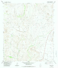 Download a high-resolution, GPS-compatible USGS topo map for Cieneguita, TX (1983 edition)