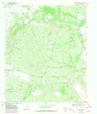 Download a high-resolution, GPS-compatible USGS topo map for Clairemont East, TX (1981 edition)