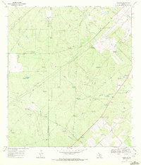 preview thumbnail of historical topo map of Live Oak County, TX in 1969