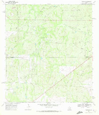 Download a high-resolution, GPS-compatible USGS topo map for Clegg SW, TX (1972 edition)