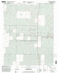 Download a high-resolution, GPS-compatible USGS topo map for Coldwater East, TX (2001 edition)