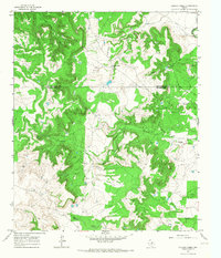 Download a high-resolution, GPS-compatible USGS topo map for Collins Creek, TX (1967 edition)