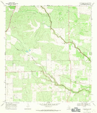 Download a high-resolution, GPS-compatible USGS topo map for Concepcion NW, TX (1971 edition)