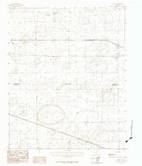 Download a high-resolution, GPS-compatible USGS topo map for Conway, TX (1984 edition)