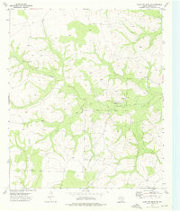 Download a high-resolution, GPS-compatible USGS topo map for Coon Dive Draw NW, TX (1976 edition)