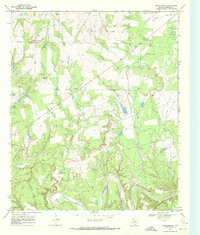 Download a high-resolution, GPS-compatible USGS topo map for Coon Hollow, TX (1972 edition)