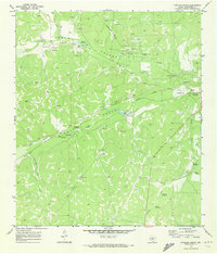 Download a high-resolution, GPS-compatible USGS topo map for Coralina Ranch, TX (1973 edition)