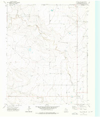 Download a high-resolution, GPS-compatible USGS topo map for Corlena NW, TX (1976 edition)