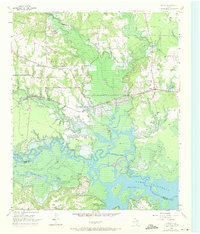 preview thumbnail of historical topo map of Bowie County, TX in 1955