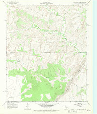 Download a high-resolution, GPS-compatible USGS topo map for Cottonwood Camp, TX (1969 edition)