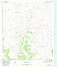 Download a high-resolution, GPS-compatible USGS topo map for Coupe Ranch, TX (1982 edition)