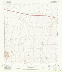 preview thumbnail of historical topo map of Reeves County, TX in 1980