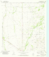 preview thumbnail of historical topo map of Pecos County, TX in 1974