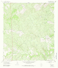 Download a high-resolution, GPS-compatible USGS topo map for Crater Ridge, TX (1964 edition)