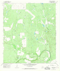 preview thumbnail of historical topo map of McMullen County, TX in 1965