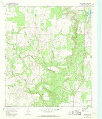 Download a high-resolution, GPS-compatible USGS topo map for Cub Hollow, TX (1970 edition)
