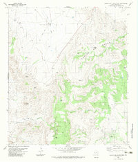 Download a high-resolution, GPS-compatible USGS topo map for Cuesta Del Burro West, TX (1983 edition)