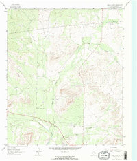 Download a high-resolution, GPS-compatible USGS topo map for Cumbie Draw NE, TX (1964 edition)