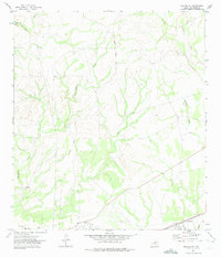 Download a high-resolution, GPS-compatible USGS topo map for Del Rio NE, TX (1975 edition)