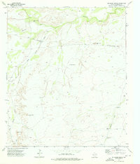 Download a high-resolution, GPS-compatible USGS topo map for Delaware Spring, TX (1976 edition)