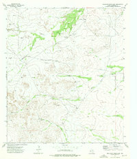 Download a high-resolution, GPS-compatible USGS topo map for Dellahunt Draw East, TX (1976 edition)