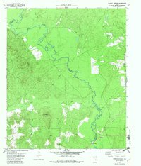 Download a high-resolution, GPS-compatible USGS topo map for Denson Springs, TX (1982 edition)