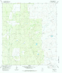 preview thumbnail of historical topo map of Dimmit County, TX in 1984