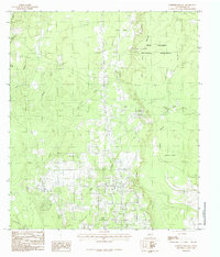 Download a high-resolution, GPS-compatible USGS topo map for Deserter Baygall, TX (1985 edition)