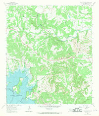Download a high-resolution, GPS-compatible USGS topo map for Devils Backbone, TX (1971 edition)