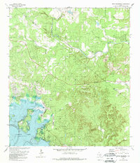 preview thumbnail of historical topo map of Comal County, TX in 1989