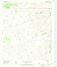 Download a high-resolution, GPS-compatible USGS topo map for Dewey Lake SE, TX (1966 edition)