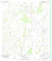 Download a high-resolution, GPS-compatible USGS topo map for Diamond Y Spring SE, TX (1977 edition)