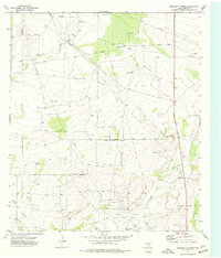 Download a high-resolution, GPS-compatible USGS topo map for Diamond Y Spring, TX (1977 edition)