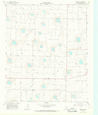 Download a high-resolution, GPS-compatible USGS topo map for Dimmitt SW, TX (1968 edition)