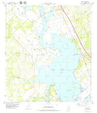 preview thumbnail of historical topo map of Live Oak County, TX in 1979