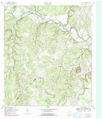 Download a high-resolution, GPS-compatible USGS topo map for Ding Dong, TX (1979 edition)