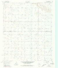 Download a high-resolution, GPS-compatible USGS topo map for Dodd, TX (1981 edition)
