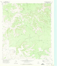 Download a high-resolution, GPS-compatible USGS topo map for Dog Creek NW, TX (1975 edition)