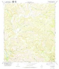 Download a high-resolution, GPS-compatible USGS topo map for Dolan Springs, TX (1979 edition)