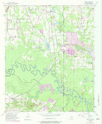 Download a high-resolution, GPS-compatible USGS topo map for Domino, TX (1983 edition)