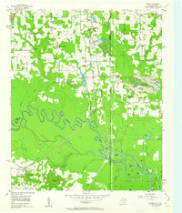 Download a high-resolution, GPS-compatible USGS topo map for Domino, TX (1963 edition)