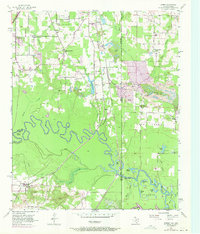 Download a high-resolution, GPS-compatible USGS topo map for Domino, TX (1971 edition)