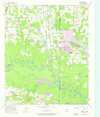 Download a high-resolution, GPS-compatible USGS topo map for Domino, TX (1976 edition)