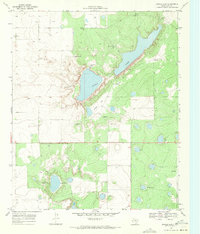 Download a high-resolution, GPS-compatible USGS topo map for Double Lakes, TX (1971 edition)
