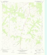 Download a high-resolution, GPS-compatible USGS topo map for Dripping Springs Draw, TX (1976 edition)
