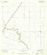 Download a high-resolution, GPS-compatible USGS topo map for Driscoll East, TX (1972 edition)