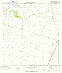 Download a high-resolution, GPS-compatible USGS topo map for Driscoll West, TX (1979 edition)