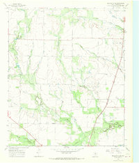 Download a high-resolution, GPS-compatible USGS topo map for Dudleys Creek, TX (1969 edition)